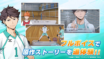 非売品 ハイキュー!! FLY HIGH カード クリアファイル 非売品ハイキュー!!FLY HIGH キャラカード×12枚＋クリアファイル×6枚